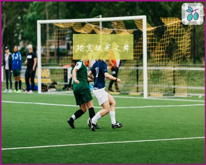 踏雪极寒之舞